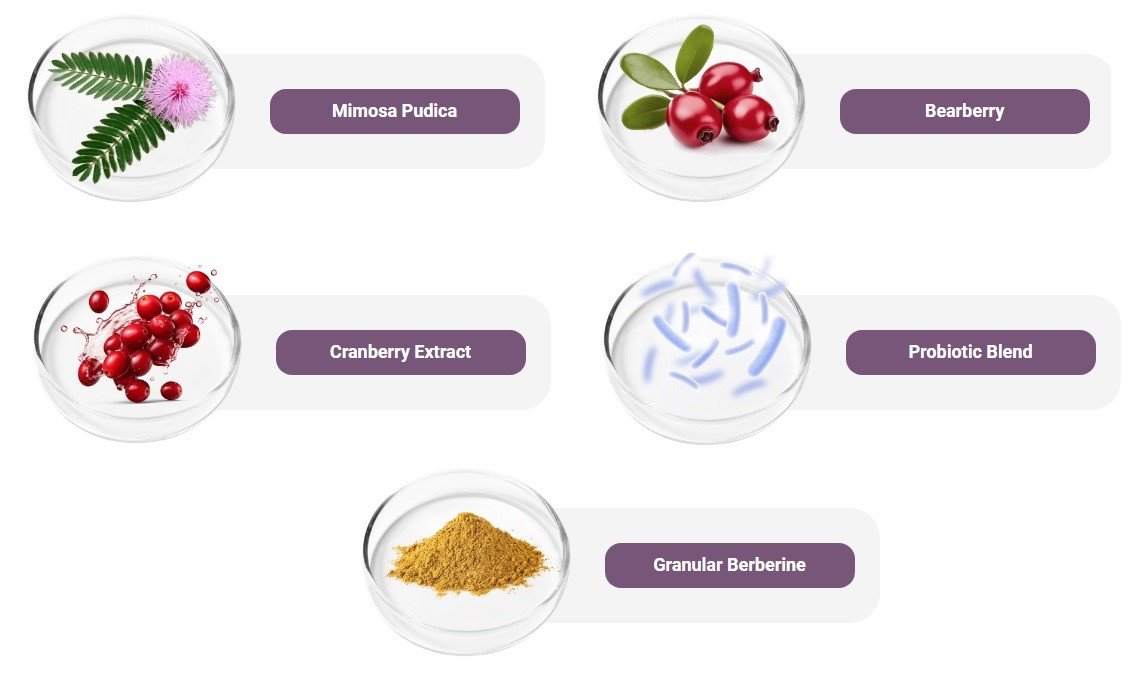 INGREDIENTES